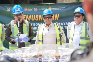 Pemerintah Musnahkan 312 Ton Bahan Baku Pakan Impor dari Brasil, Positif Mengandung Unsur Babi