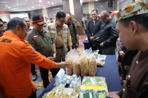 BNPB Perkuat Destana Jatim demi Kesiapsiagaan Bencana dan Ekonomi