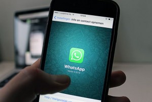 Waspada Grup Chat Incar Anak,  Percakapan Diduga Bermuatan LGBT