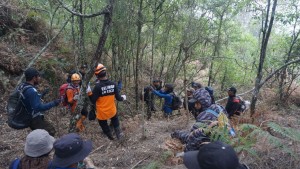Belajar dari China, DPR Minta Penanganan Karhutla Fokus Pencegahan