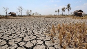 El Nino Tahun Ini Capai Rekor Suhu Tertinggi Sepanjang Masa
