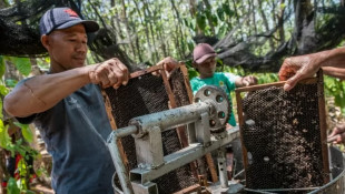 Yayasan Baitul Maal PLN NTB Inisiasi Desa Budi Daya Lebah Madu