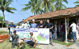 Koperasi Syariah BMI Berqurban 28 Ekor Sapi dan 52 Ekor Domba