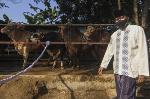Sandiaga Uno hingga Syahrul Berqurban di Pesantren Tebuireng