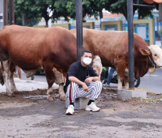 Sempat Hidup Menumpang, Kini Pecahkan Rekor MURI 1100 Hewan Qurban