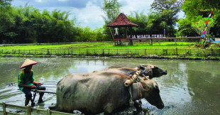 Angkat Potensi Desa Wisata, Pemerintah Bakal Tampil All Out