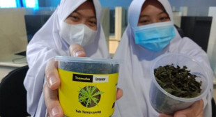 Keren, Teh Tempuyung Karya Santri ini Masuk Final Nasa Fair 2021