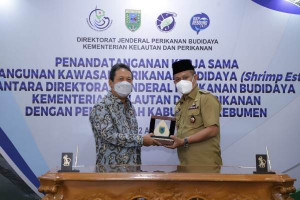 Pertama di Indonesia, KKP Bangun Kawasan Budidaya Udang Terintegrasi di Kebumen