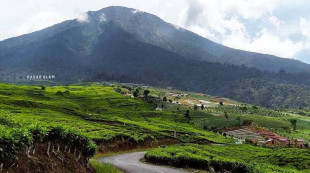 Mau Mendaki Gunung Dempo di Pagaralam, Ini Syaratnya
