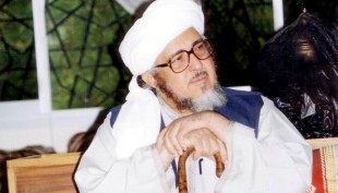 Pandangan Sayyid Muhammad Alawi Al-Maliki Tentang Childfree