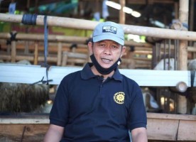 Hewan Qurban Muhammadiyah Prenggan Bagi Keuntungan 100 Persen untuk Dakwah