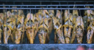 Kurangi Pengangguran, Berdayakan Emak-emak dari Nilai Tambah Produk Olahan Lele