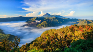 Kasus Covid-19 di Jawa Timur Melandai, Sejumlah Destinasi Wisata Kembali Dibuka