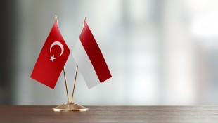 Indonesia-Turki Jalin Komunikasi di Sela-Sela Sidang PBB, Ini Pembahasannya