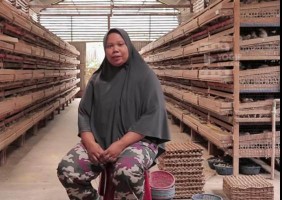Ibu Rumah Tangga Miliki Omzet Rp200 Juta dari Ternak Burung Puyuh
