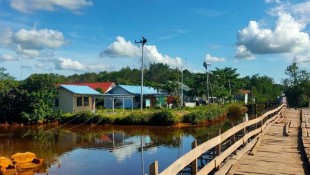 Dukung Ketahanan Pangan Nasional, PLN Siap Pasok Listrik ke Kawasan Food Estate Kalteng