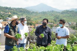 Optimalkan Halaman Masjid Jadi Lahan Pertanian Modern, Menteri BUMN Apresiasi Terobosan PLN
