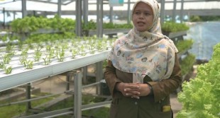 TTP Cigombong, Sukses Berdayakan Emak-emak Kembangkan Sektor Pertanian