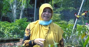 Muslimah Ini Sukses Usaha Anggrek, Jangkau Hampir Seluruh Indonesia