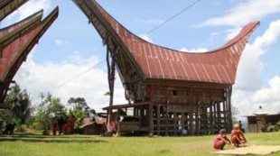Pesona Desa Wisata Kole Sawangan, Penghasil Kopi Sado’ko Toraja
