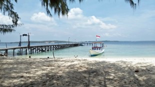 Digitalisasi Bakal Dorong Industri Pariwisata di Indonesia