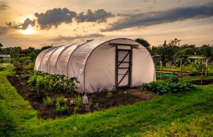Ecovillage Solusi Beragam Masalah
