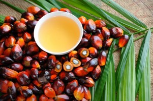 SEAFAST Center IPB Berbagi Pengetahuan Produk Olahan Minyak Sawit kepada UMKM