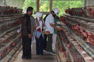 Gus Halim: Model Usaha BUM Desa yang Sukses Boleh Diduplikasi