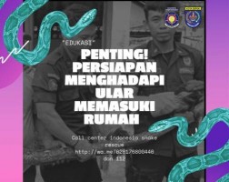 Musim Hujan, Persiapan Menghadapi Ular Masuk ke Rumah
