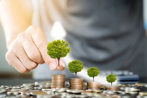 Momentum Indonesia Ajak Dunia Terapkan Green Economy