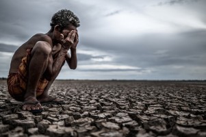 Guru Besar IPB: Dua Pola Ekspansi Perubahan Kawasan