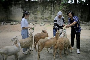 Anjuran Berbuat Ihsan Terhadap Hewan dan Pahalanya