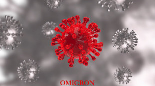 Kasus Omicron di Indonesia Diduga dari WNI yang Baru Tiba dari Nigeria