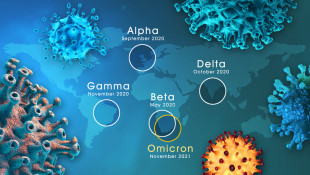 Kasus Omicron Bertambah, Pemerintah Lakukan Antisipasi Penyebaran