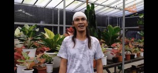 Hidup Mantan Kuli Bangunan Ini Berubah Drastis Berkat Tanaman Hias