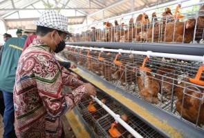 Gus Halim: BUM Desa Bersama Waluya Balarea Harus Berhasil