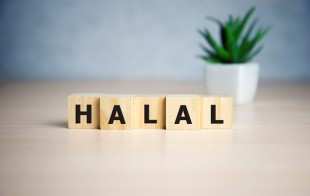 Peran RUU P2SK Perkuat Rantai Nilai Industri Halal