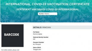 Kemenkes Terbitkan Sertifikat Vaksin Internasional Standar WHO