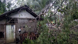 Innalillahi, Satu Warga Meninggal Saat Angin Kencang di Kota Banjar