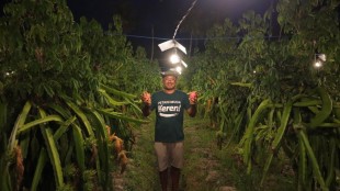 Didukung Listrik PLN, Petani Muda Ini Bawa Pertanian Bali Kian Modern