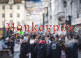 Pakar WHO Duga Cacar Monyet Terjadi dari Seks Pria Gay