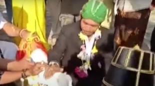 Aneh, Seorang Pria di Gresik Nikahi Kambing