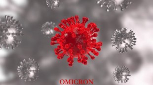 Varian Baru Omicron Masuk Indonesia, Masyarakat Diminta Tetap Waspada