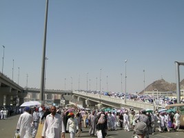 Jubir PPIH: 60 Jemaah Sakit dan 3 Wafat di Arab Saudi