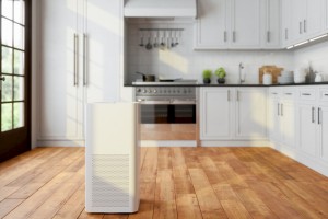 Air Purifier Pencegah Udara Buruk Masuk ke Rumah, Benarkah?