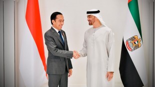 Presiden Jokowi dan Presiden Persatuan Emirat Arab Sepakat Kerjasama