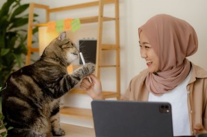 Selain Lucu dan Bikin Gemas, Kucing Juga Jadi Pelindung Bahaya