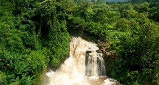 Mengenal Potensi Desa Wisata Kubang Baros di Banten