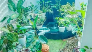 3 Desain Taman Belakang untuk Rumah Subsidi, Jadikan Area Hijau