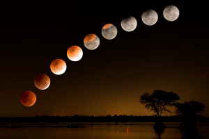 Gerhana Bulan Terjadi 8 November, Simak Tata Cara Salat Khusuf